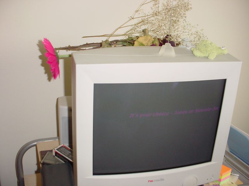 DSC00008.JPG (800x600) 42.40KB 