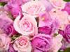 DSC00044.JPG (800x600) 85.60KB 