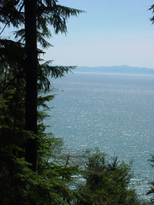 DSC00029.JPG (600x800) 100.43KB 