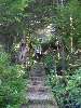 DSC00025.JPG (600x800) 121.76KB 