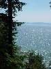 DSC00029.JPG (600x800) 100.43KB 