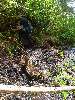 DSC00030.JPG (600x800) 190.37KB 