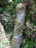 DSC00032.JPG (600x800) 186.61KB 