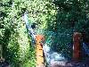DSC00043.JPG (800x600) 168.78KB 
