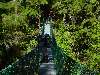 DSC00045.JPG (800x600) 163.21KB 