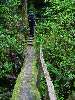 DSC00064.JPG (600x800) 172.25KB 