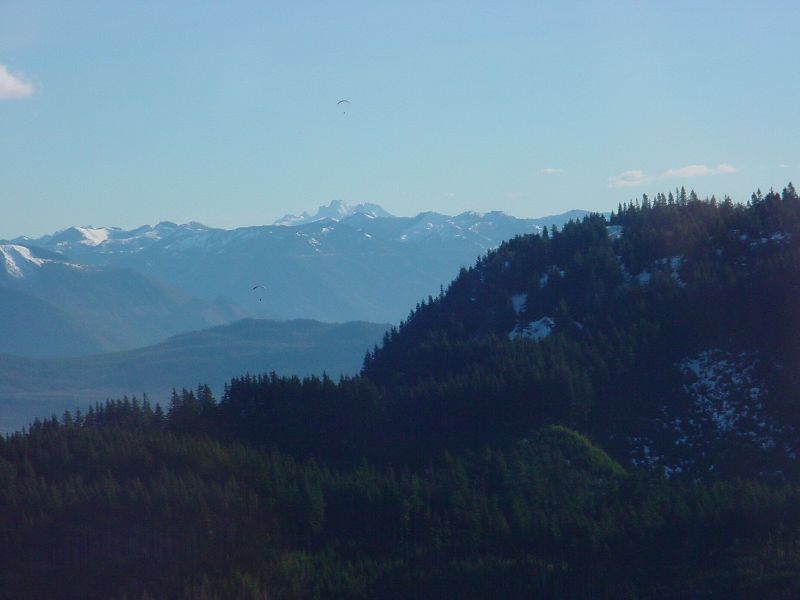 DSC00040.JPG (800x600) 34.94KB 