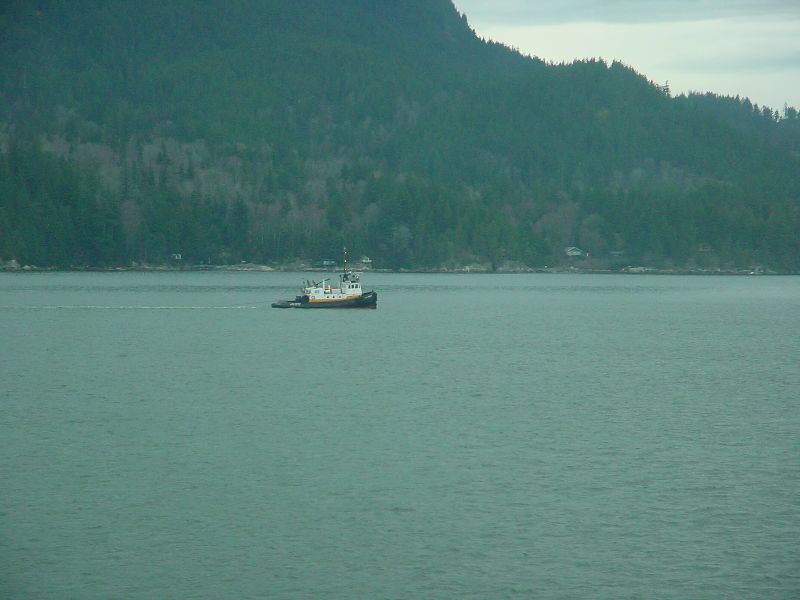 05_TimmyTheWestCoast.JPG (800x600) 51.52KB Timmy the West Coast Tug