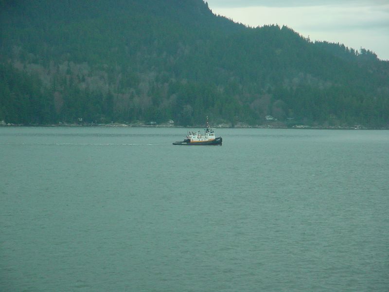 06_TheTug.JPG (800x600) 50.11KB The tug