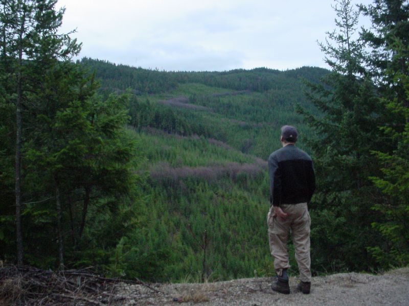 30_(ItMayLookLike.JPG (800x600) 81.21KB (It may look like Jason is impersonating Homer Simpson, but in fact he just threw a rock down the gulley)