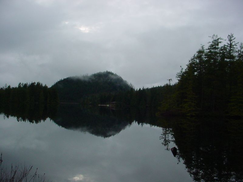 45_CoolReflection.JPG (800x600) 38.54KB Cool reflection
