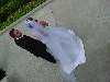 DSC00035.JPG (800x600) 71.39KB 