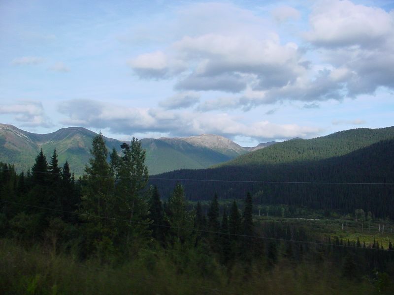 DSC00135.JPG (800x600) 47.95KB Scenery around McKenzie