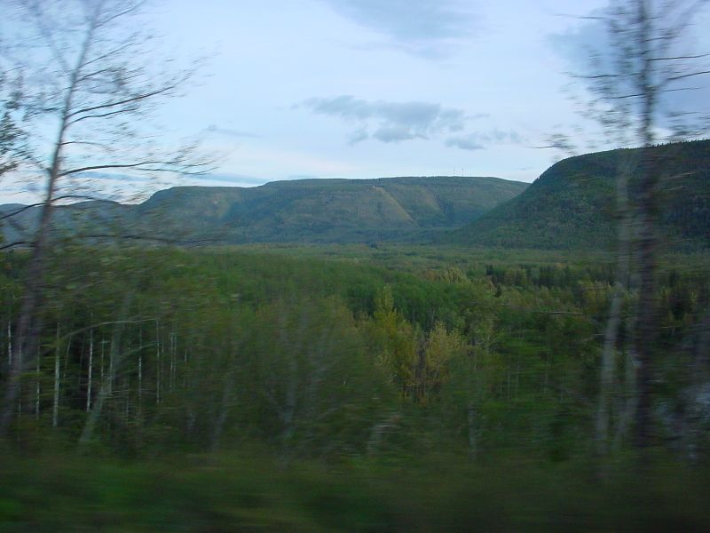 DSC00142.JPG (800x600) 57.85KB 