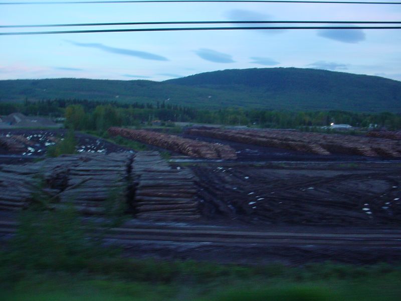 DSC00145.JPG (800x600) 54.42KB Chetynd Logs