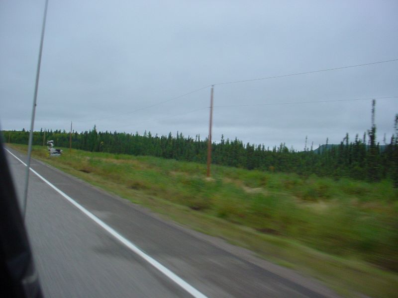 DSC00170.JPG (800x600) 39.27KB watch for Cariboo sign