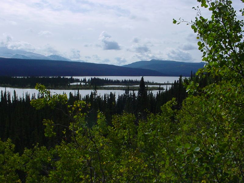 DSC00187.JPG (800x600) 96.98KB regular view from the Alaska Highway