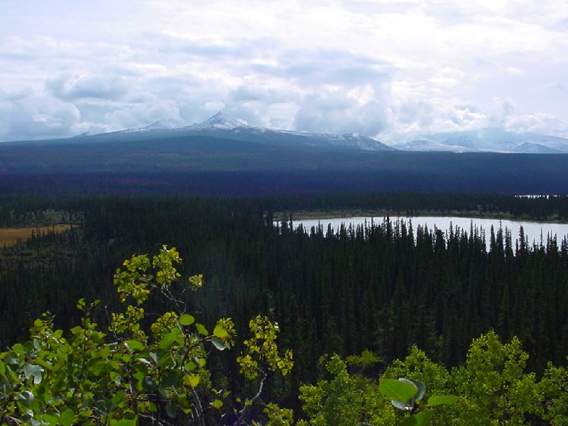 DSC00188.JPG (800x600) 74.15KB regular view from the Alaska Highway