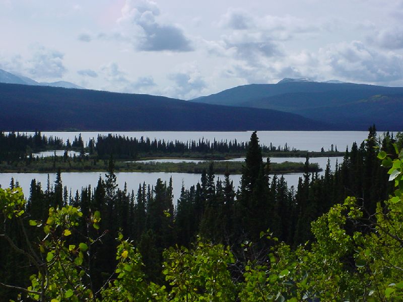 DSC00189.JPG (800x600) 83.83KB regular view from the Alaska Highway