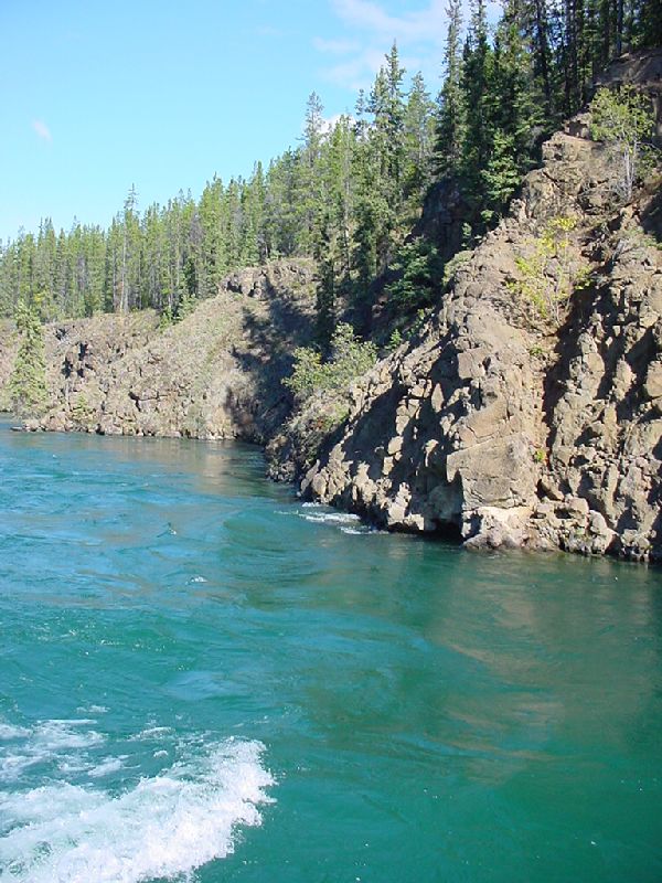 DSC00210.JPG (600x800) 119.25KB Yukon River Cruise