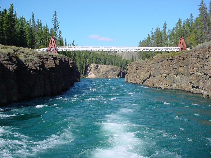 DSC00217.JPG (800x600) 105.98KB Yukon River Cruise