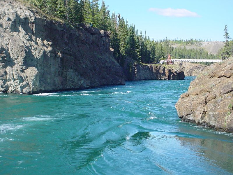 DSC00220.JPG (800x600) 110.90KB Yukon River Cruise