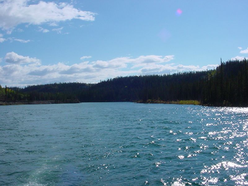 DSC00221.JPG (800x600) 76.08KB Yukon River Cruise