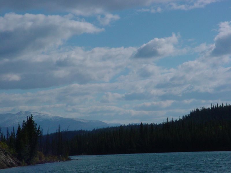 DSC00223.JPG (800x600) 42.36KB Yukon River Cruise