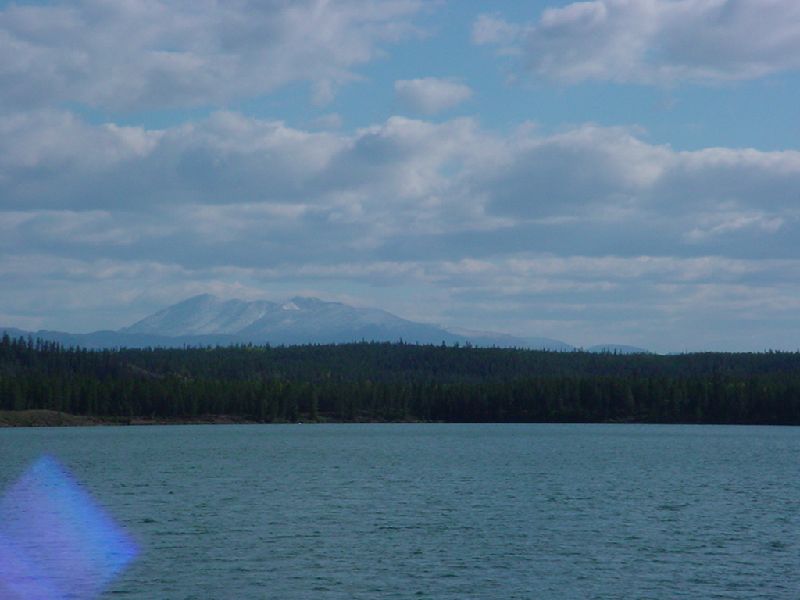 DSC00228.JPG (800x600) 46.18KB Yukon River Cruise