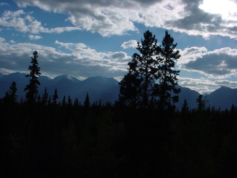 DSC00242.JPG (800x600) 53.53KB going to Carcross