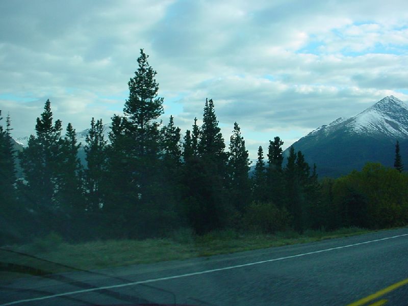 DSC00265.JPG (800x600) 59.30KB between Carcross and Skagway