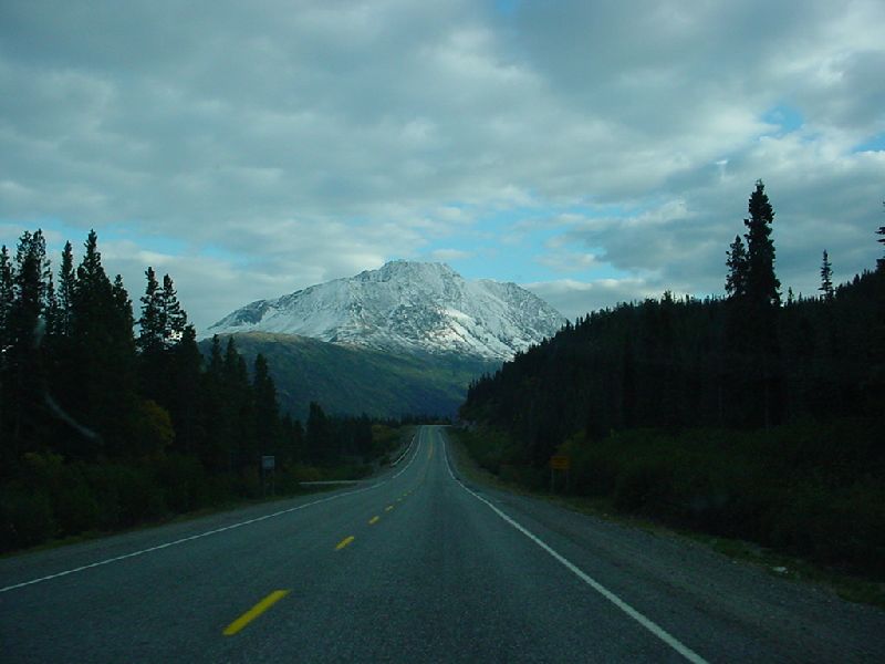DSC00267.JPG (800x600) 50.52KB between Carcross and Skagway