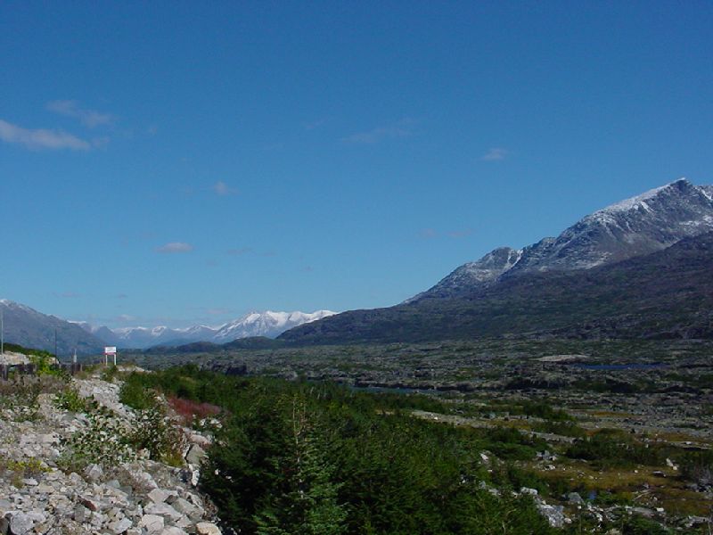 DSC00310.JPG (800x600) 70.17KB Skagway back to Carcross - Panorama 1