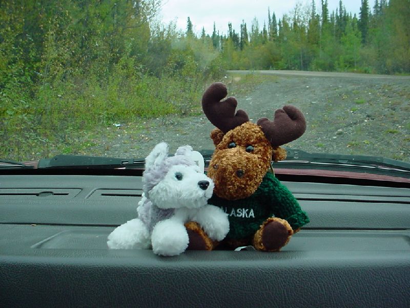 DSC00322.JPG (800x600) 92.63KB theres a Moose and Husky in the car!