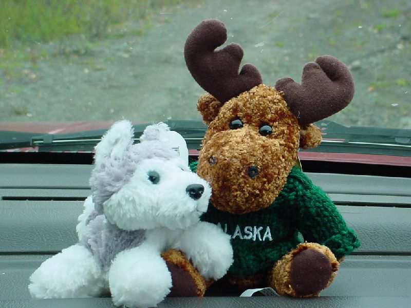 DSC00323.JPG (800x600) 77.78KB theres a Moose and Husky in the car!