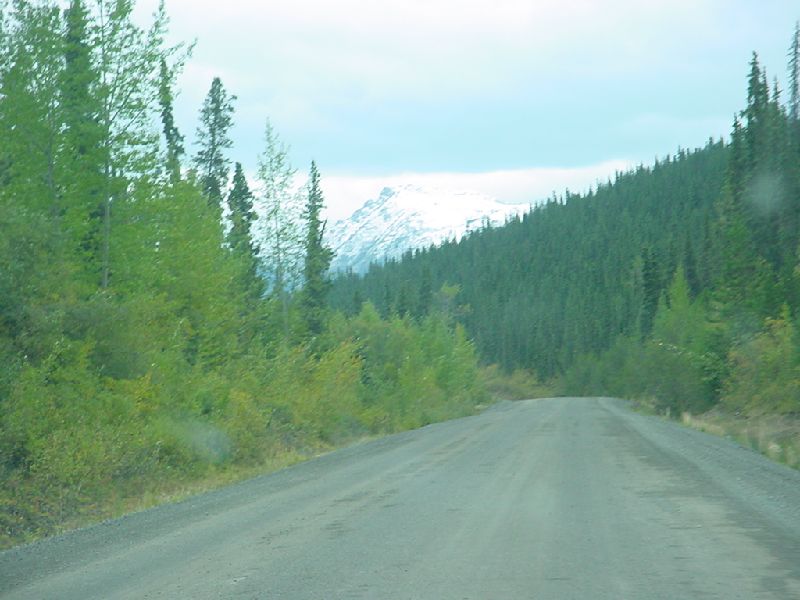 DSC00326.JPG (800x600) 68.24KB down the Cassiar Highway
