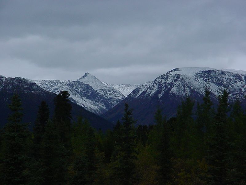 DSC00336.JPG (800x600) 49.64KB down the Cassiar Highway