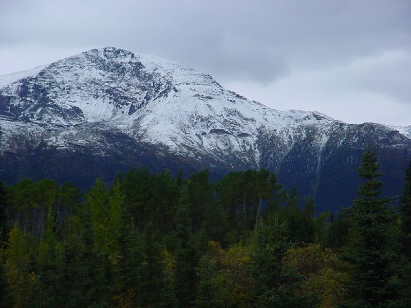 DSC00337.JPG (800x600) 76.03KB down the Cassiar Highway