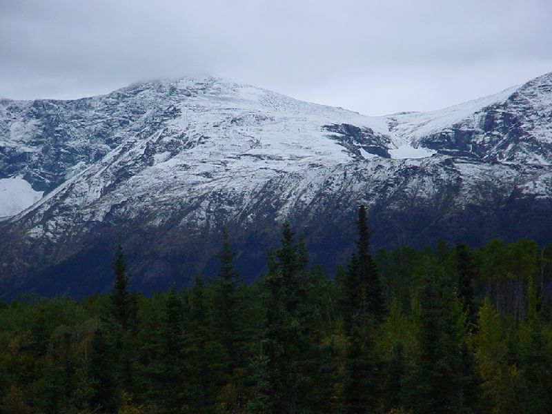 DSC00338.JPG (800x600) 81.29KB down the Cassiar Highway