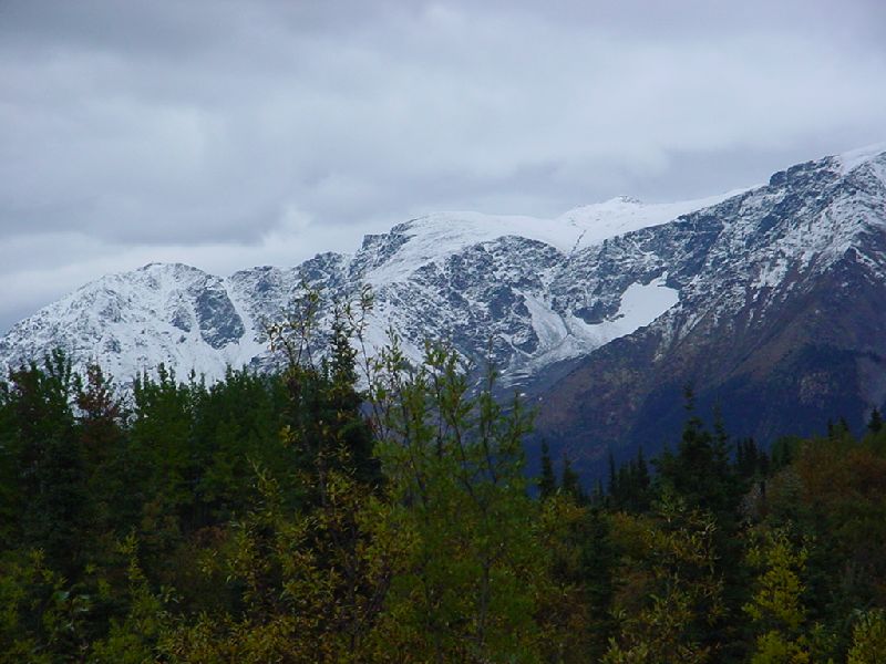 DSC00339.JPG (800x600) 80.22KB down the Cassiar Highway