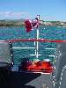 DSC00204.JPG (600x800) 82.34KB Yukon River Cruise