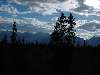 DSC00242.JPG (800x600) 53.53KB going to Carcross