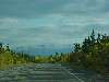 DSC00248.JPG (800x600) 61.15KB going to Carcross