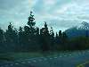 DSC00265.JPG (800x600) 59.30KB between Carcross and Skagway