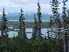DSC00278.JPG (800x600) 120.60KB between Carcross and Skagway