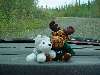 DSC00322.JPG (800x600) 92.63KB theres a Moose and Husky in the car!