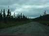 DSC00324.JPG (800x600) 51.48KB down the Cassiar Highway