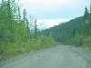 DSC00326.JPG (800x600) 68.24KB down the Cassiar Highway