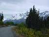DSC00331.JPG (800x600) 72.55KB down the Cassiar Highway