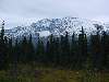 DSC00332.JPG (800x600) 76.48KB down the Cassiar Highway